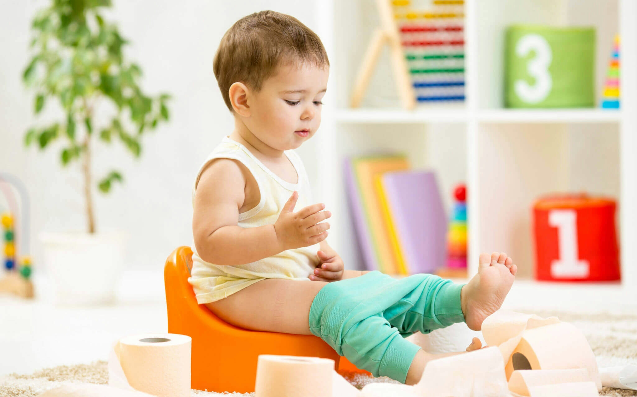 Thumbnail for Toilet Training – Try some of these tips